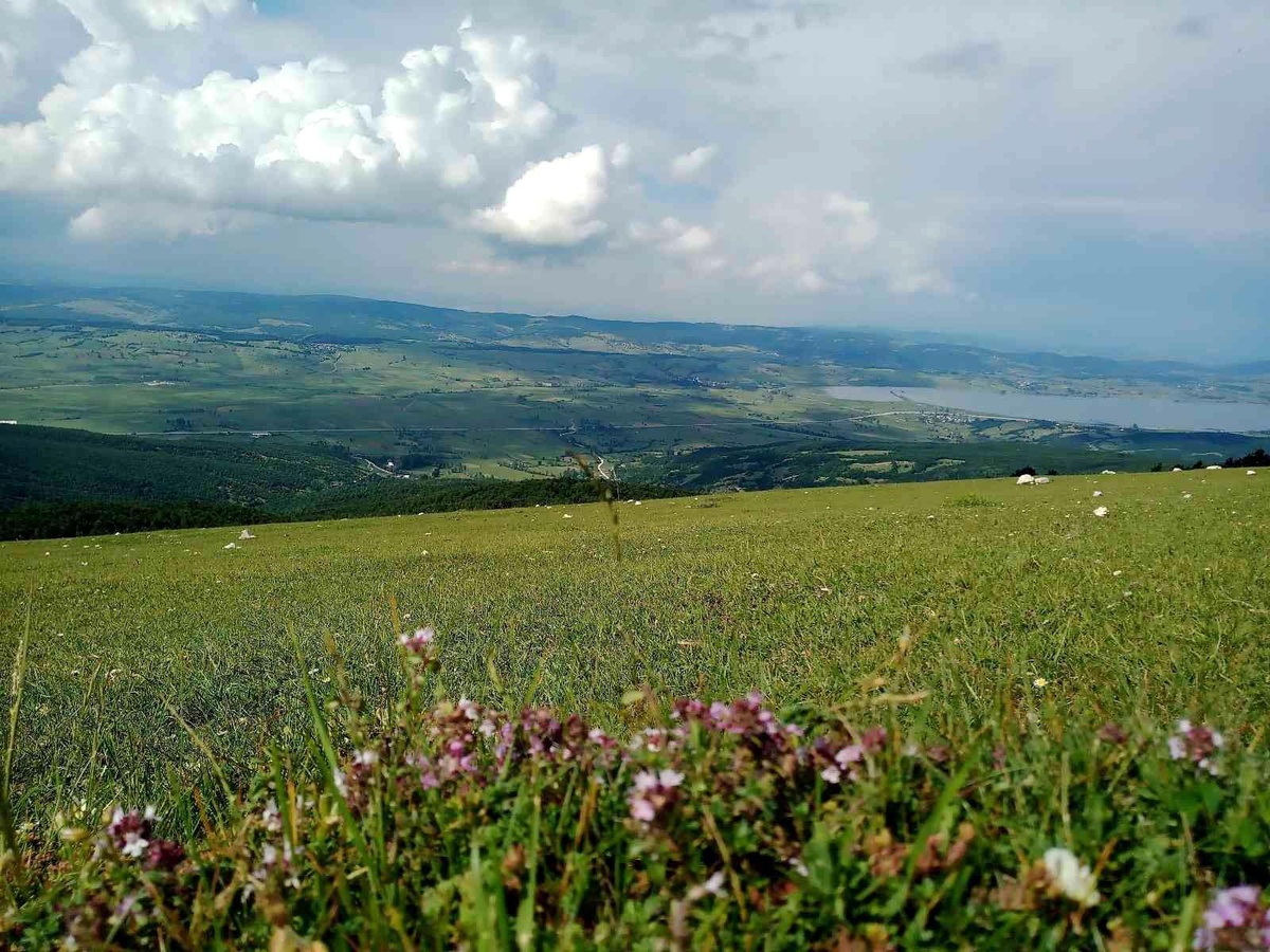 Samsun Büyükşehir Belediyesi güneş enerjisinden elektrik üretecek