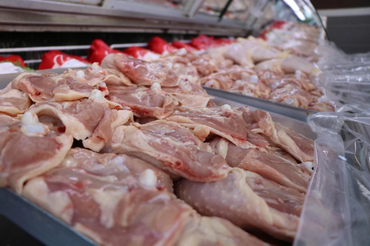 Tavuk eti üretimi yüzde 13,7 arttı