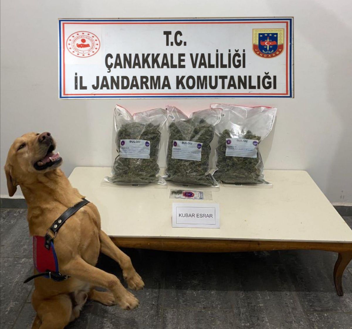Çanakkale\'de durdurulan araçta 2,5 kilogram esrar ele geçirildi