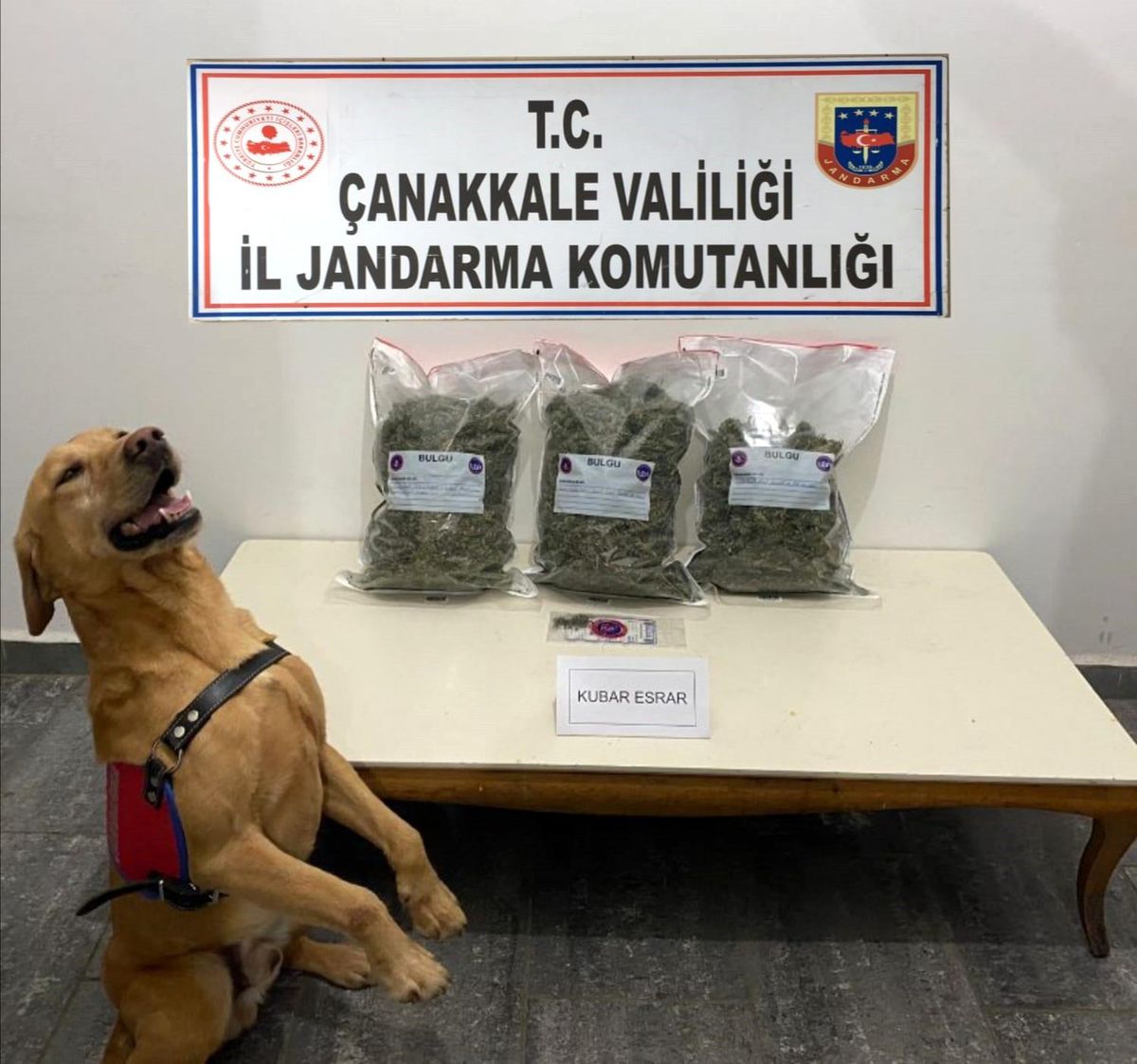 Çanakkale\'de uyuşturucu operasyonu: 2 gözaltı