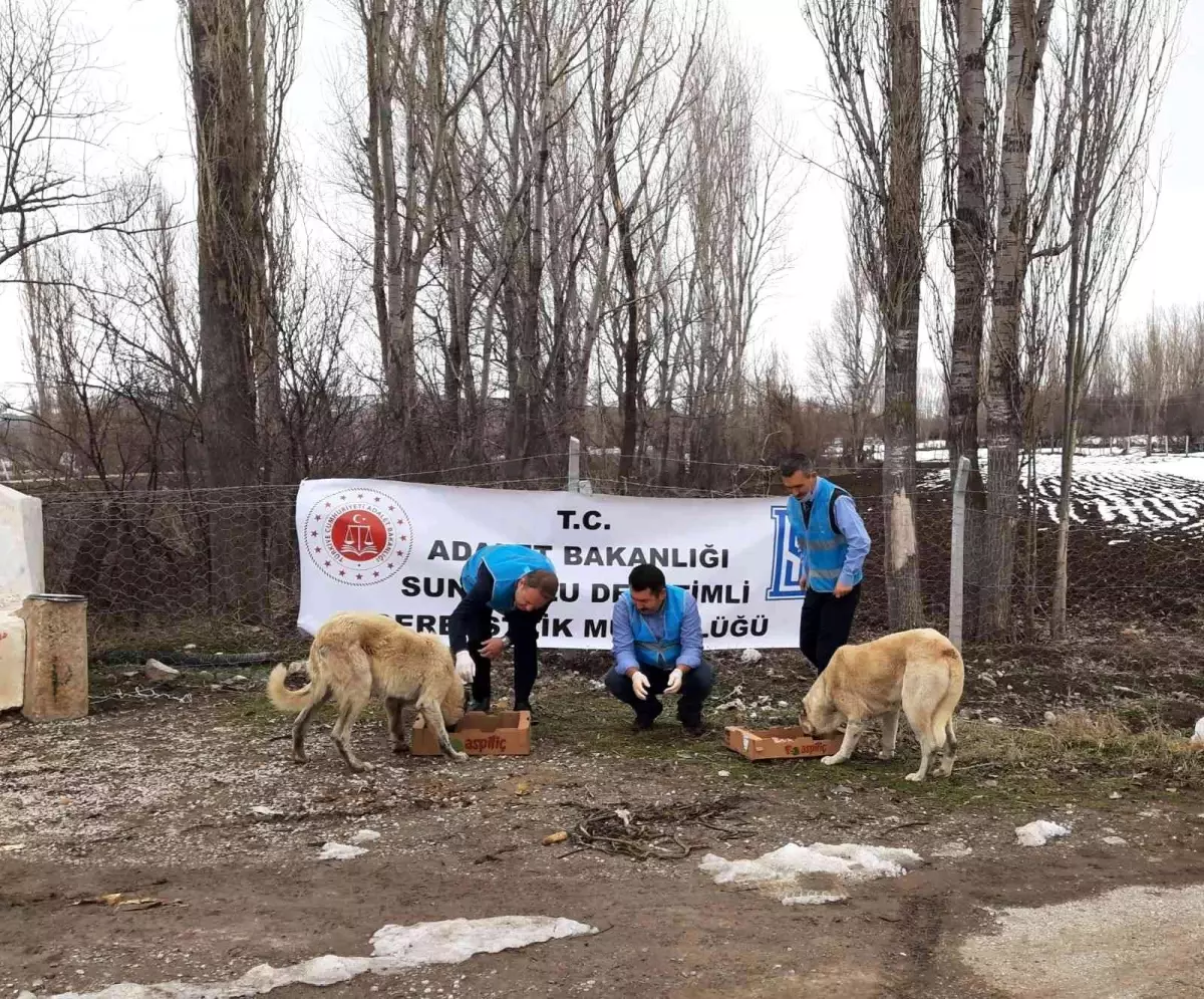 Doğada yaşayan hayvanlar unutulmadı