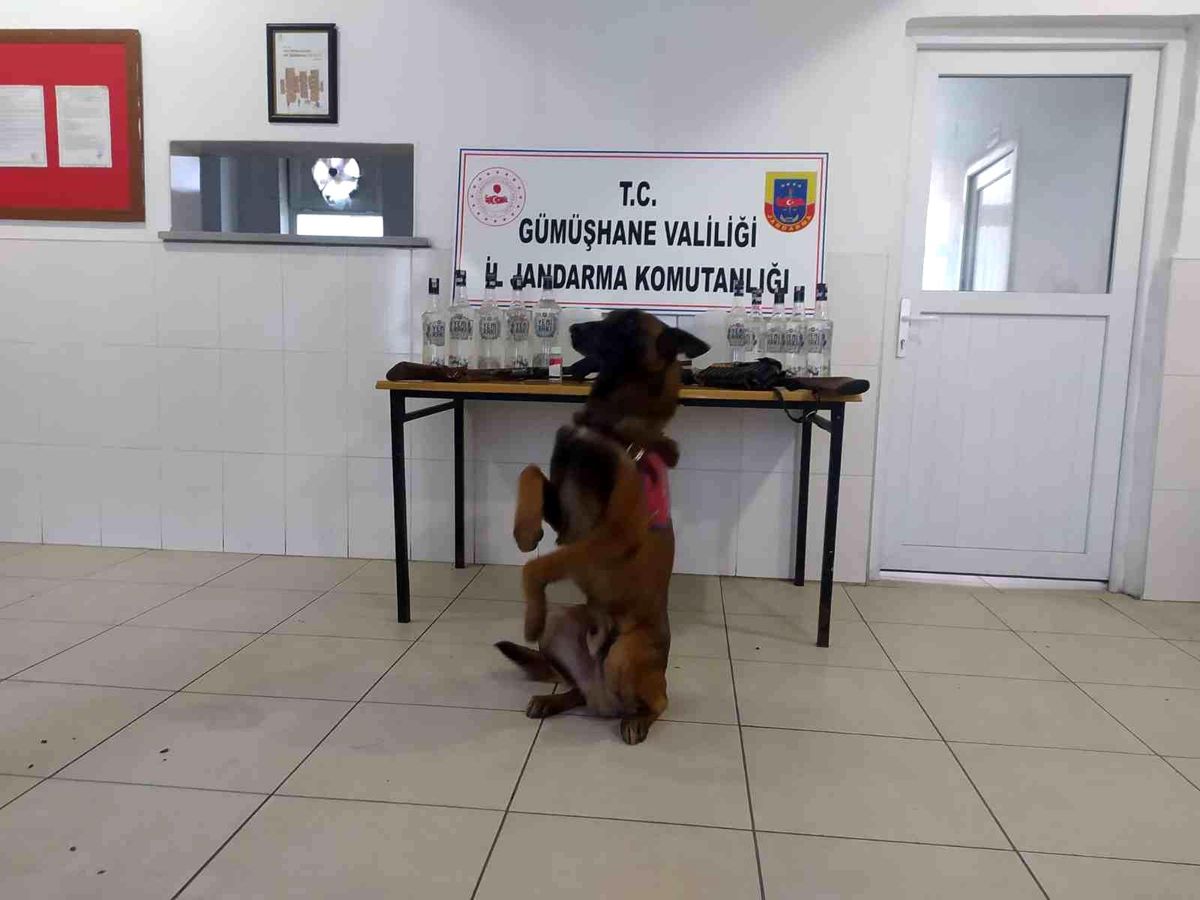 Son dakika haber: Gümüşhane\'de kaçak alkol operasyonu