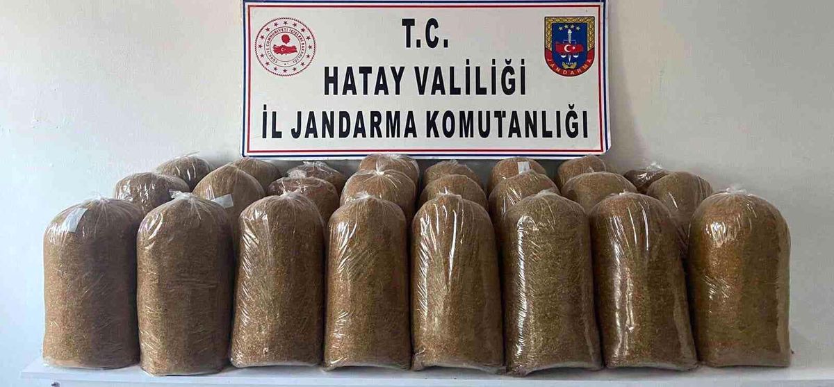 Son dakika: Hatay\'da kaçakçılık operasyonu