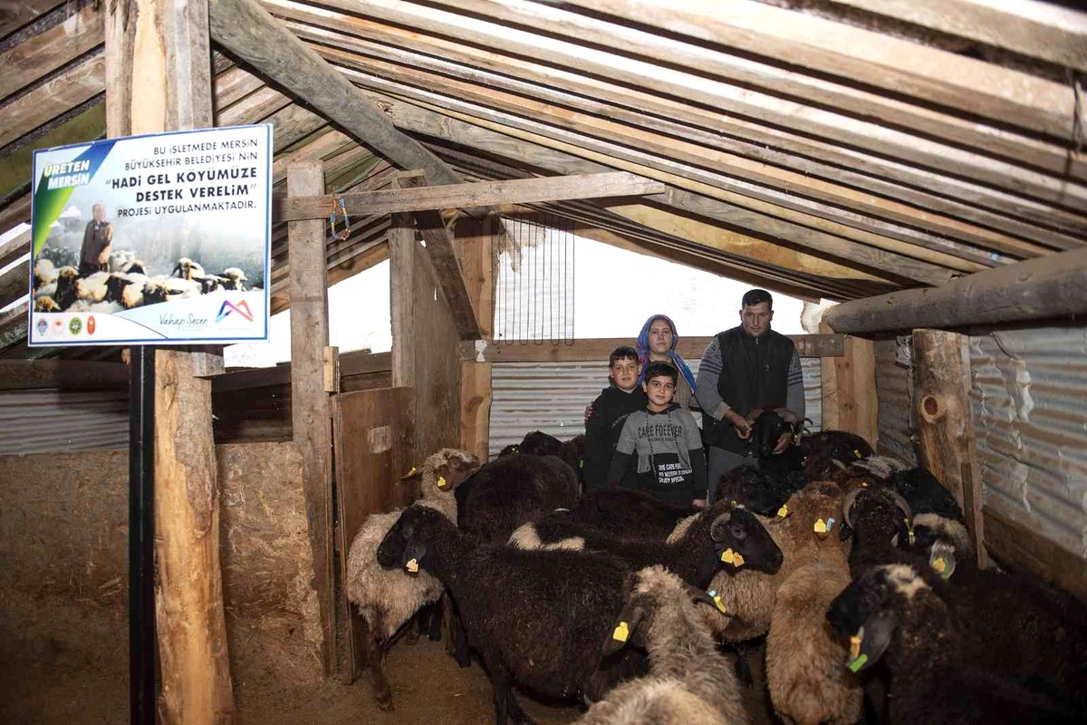 \'Haydi gel köyümüze destek verelim\' projesi, damızlıklarla çoğalıyor