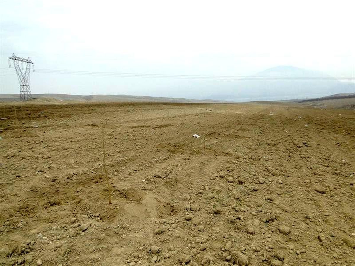 Üretime katkı için mera ve yaylaklar kiralanacak