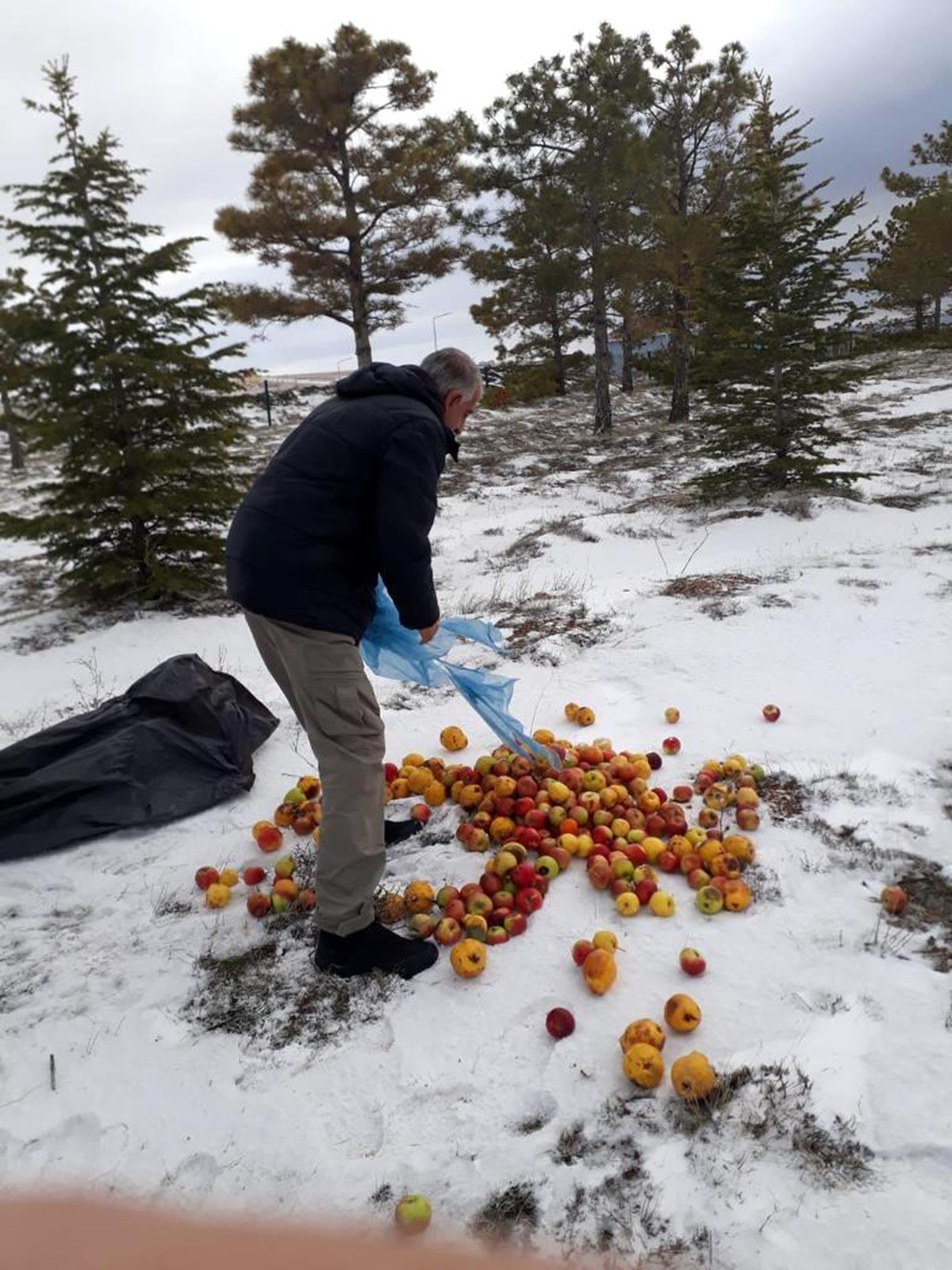 Kırşehir\'de kış döneminde doğaya 8 ton yem bırakıldı