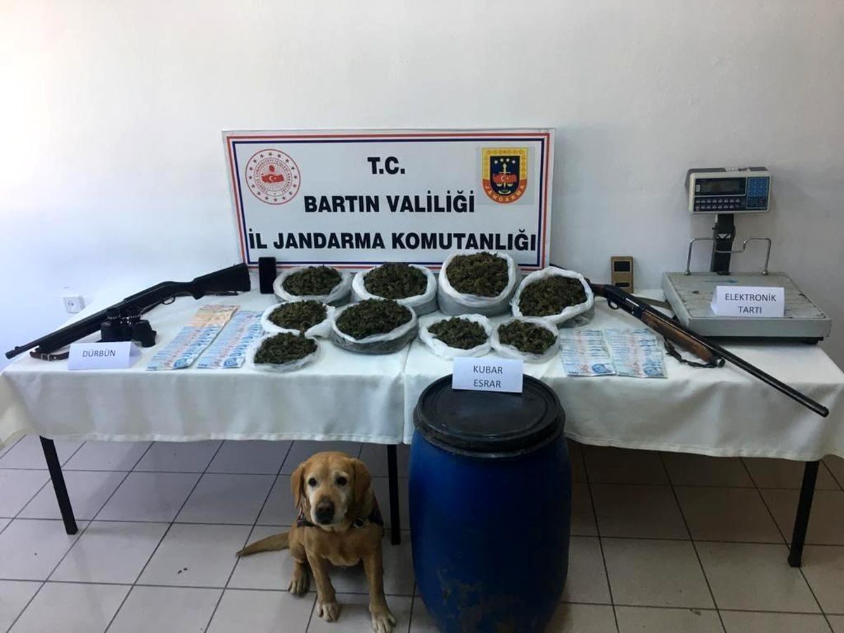 Son dakika: Bartın\'da jandarmadan uyuşturucu operasyonu