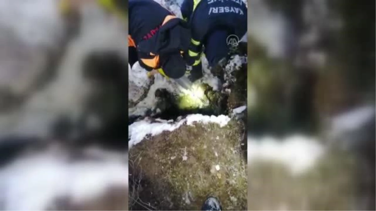 Bir haftadır kayıp inek düştüğü kayalıktan kurtarıldı