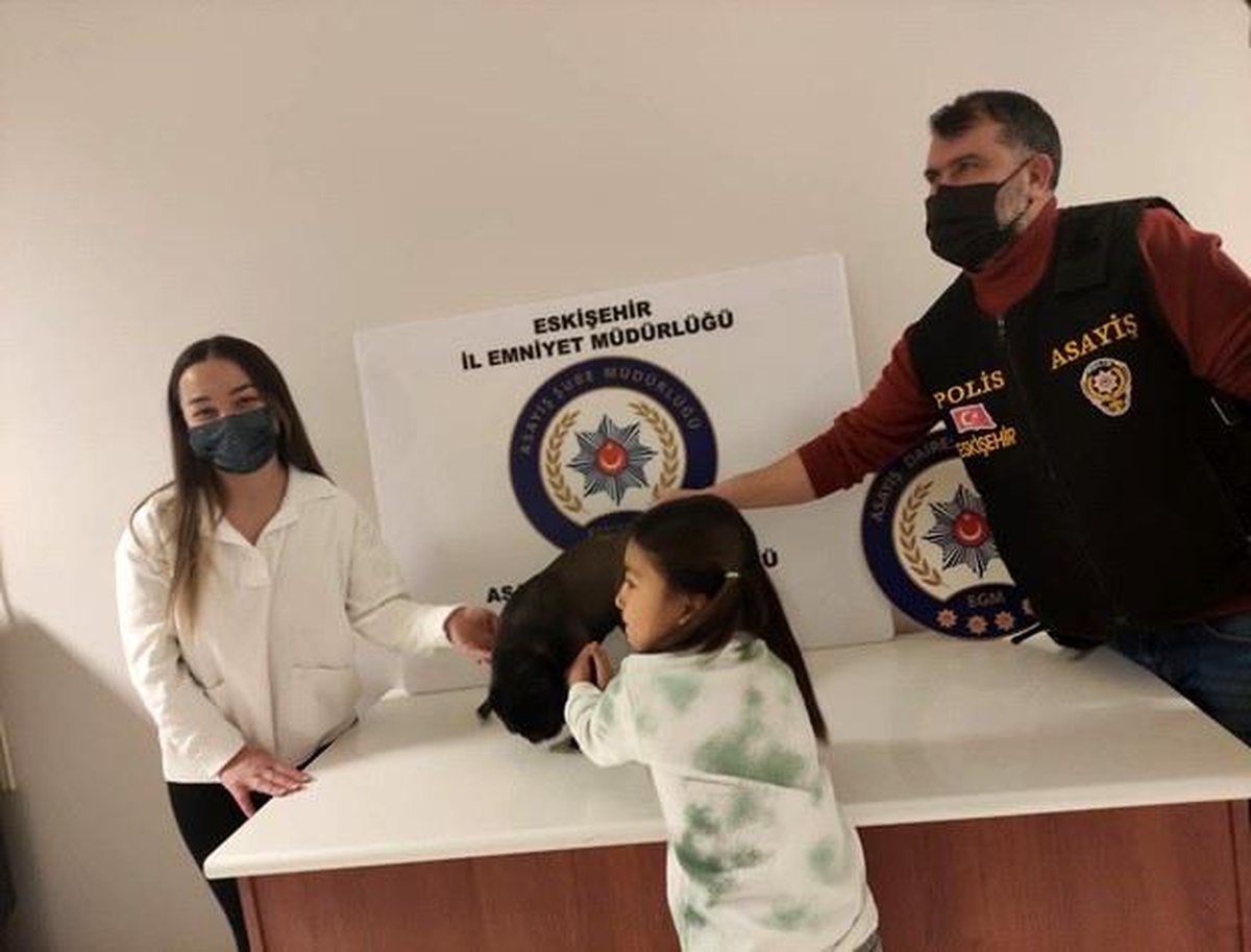 Çalınan cins köpek bulunarak sahibine teslim edildi