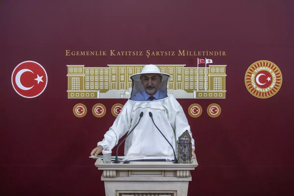 CHP'li Adıgüzel: 'Türkiye'de arılar açlıktan ölüyor'