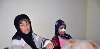 Derik'te 4'ü çocuk 7 kişiyi yaralayan köpekte kuduz şüphesi