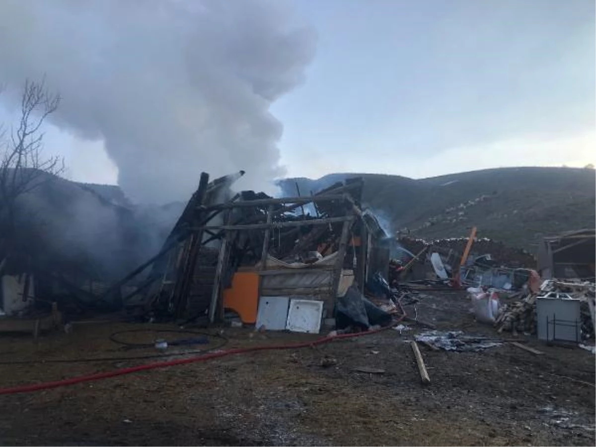 Son dakika! Gölbaşı'nda çiftlikte çıkan yangında 50 kuzu öldü