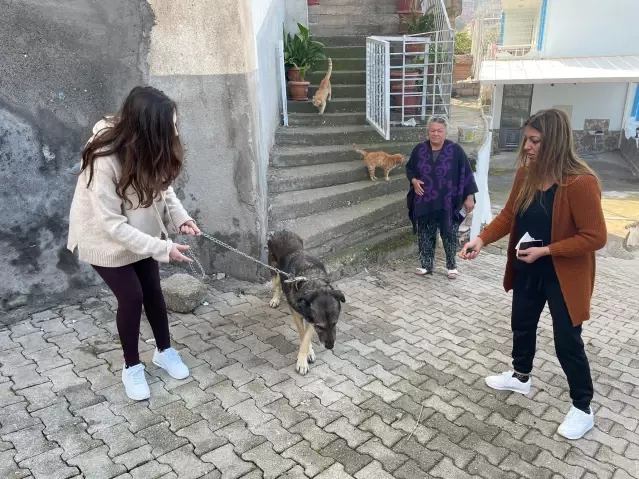 Son dakika haber | Hatay'da komşuya ve köpeğe darp iddiasına gözaltı