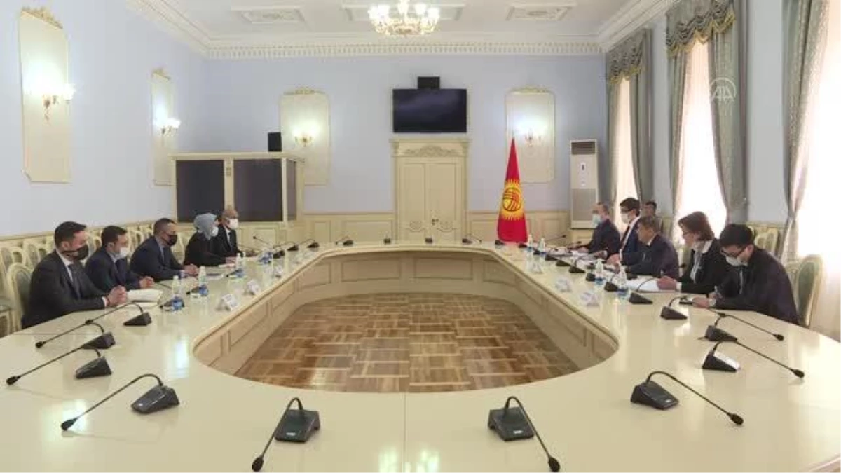 Kırgızistan\'dan Rönesans\'a "sağlıklı" iş birliği teklifi