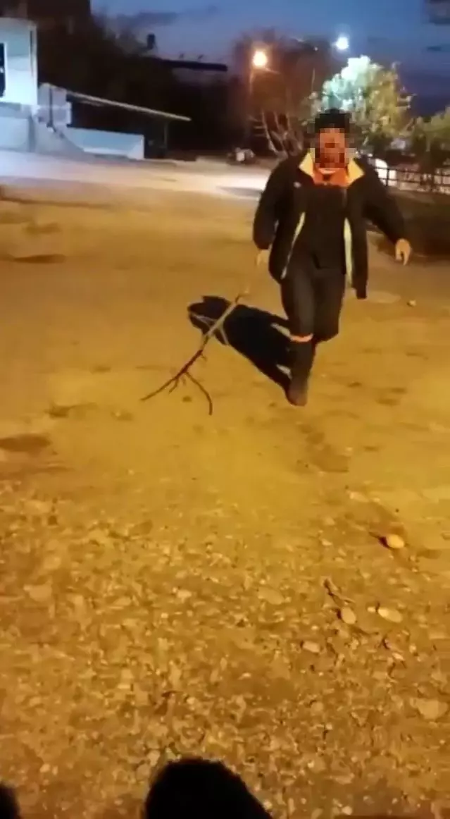 Komşusunun kızına ve köpeğine ağaç dalıyla saldırdı