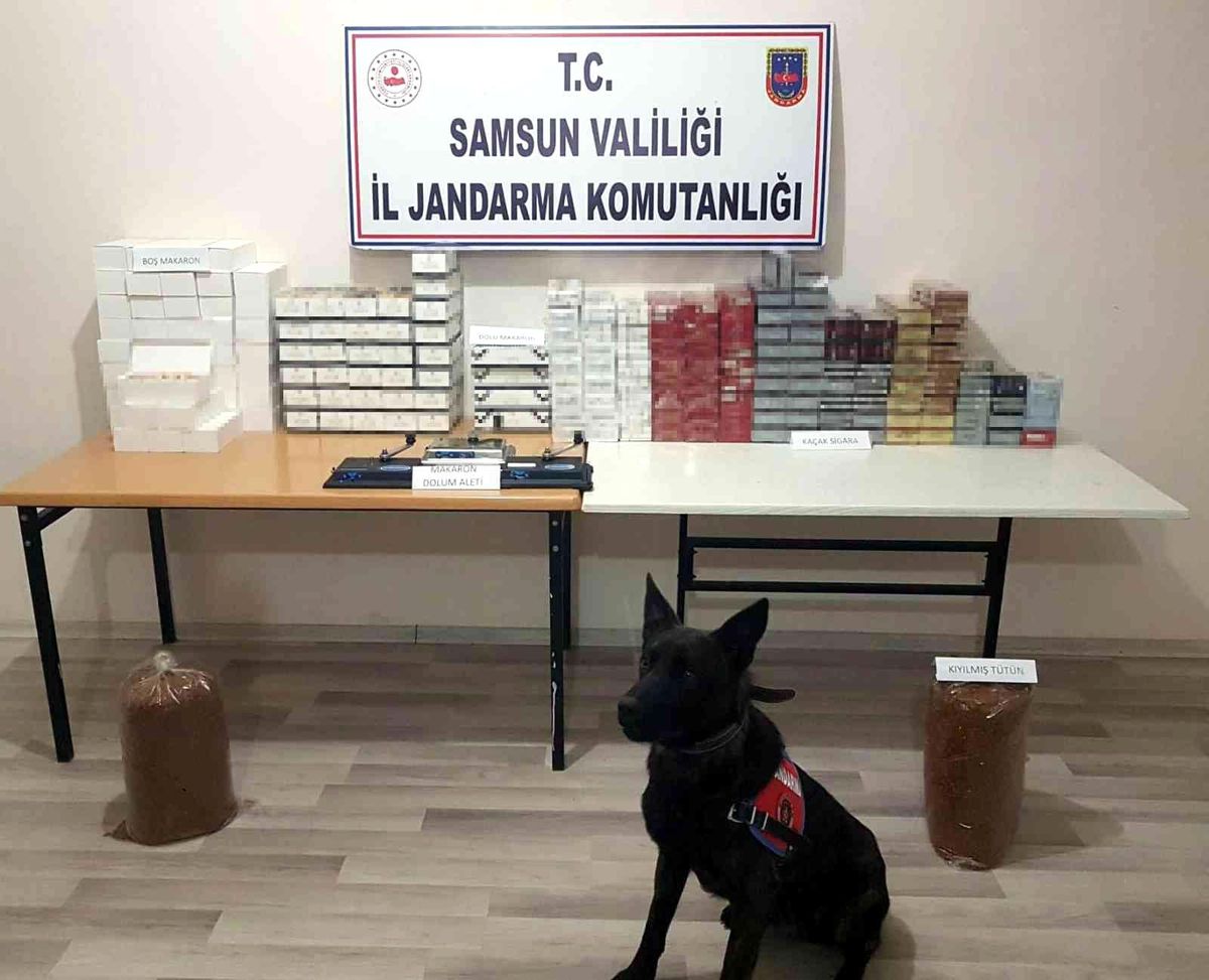 Samsun\'da bin 187 paket sigara ve 16 bin dal makaron ele geçirildi
