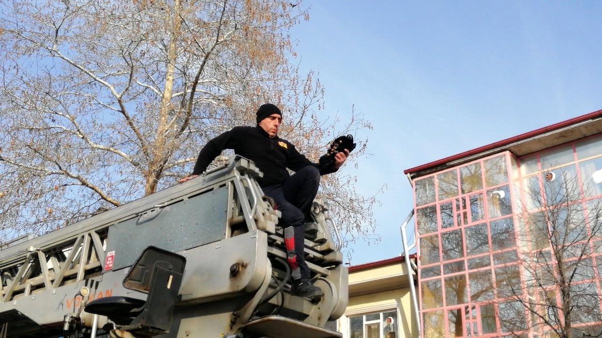 Son dakika haberi | Ağaçta asılı kalan kargayı itfaiye ekipleri kurtardı