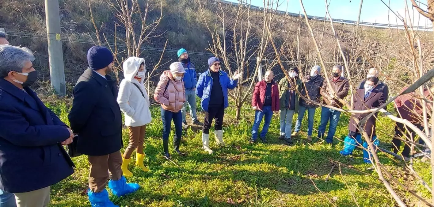 Altınova\'da çiftçilere budama eğitimi