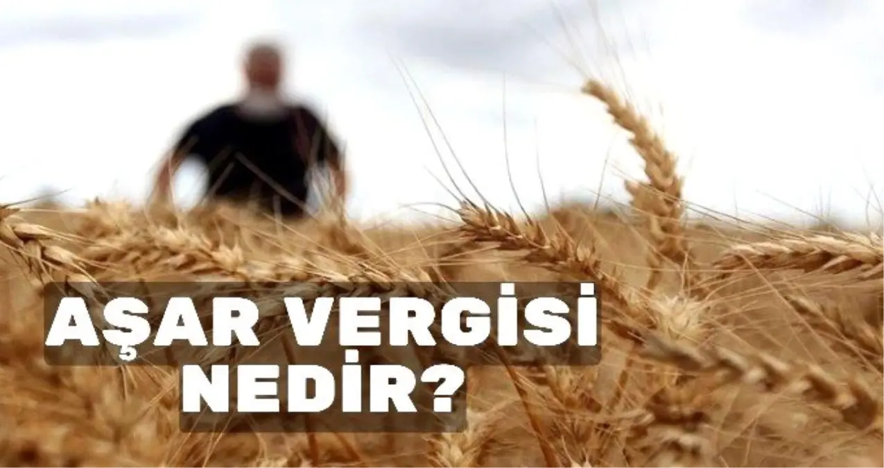 Aşar vergisi nedir? Aşar vergisi ne zaman ve neden kaldırıldı? Aşar vergisi kanunu nedir?