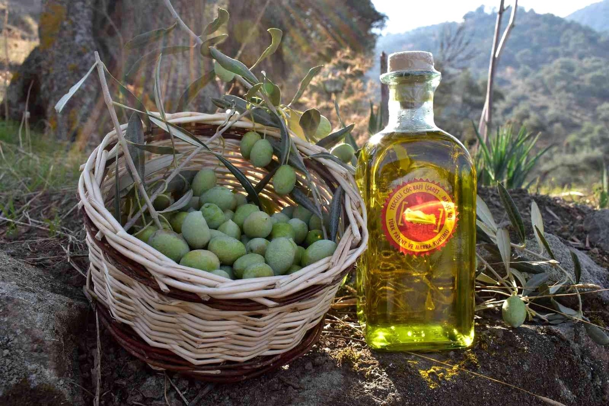 Aydın Ticaret Borsası, Aydın Memecik Zeytinyağı\'nı Hatay\'da tanıtacak