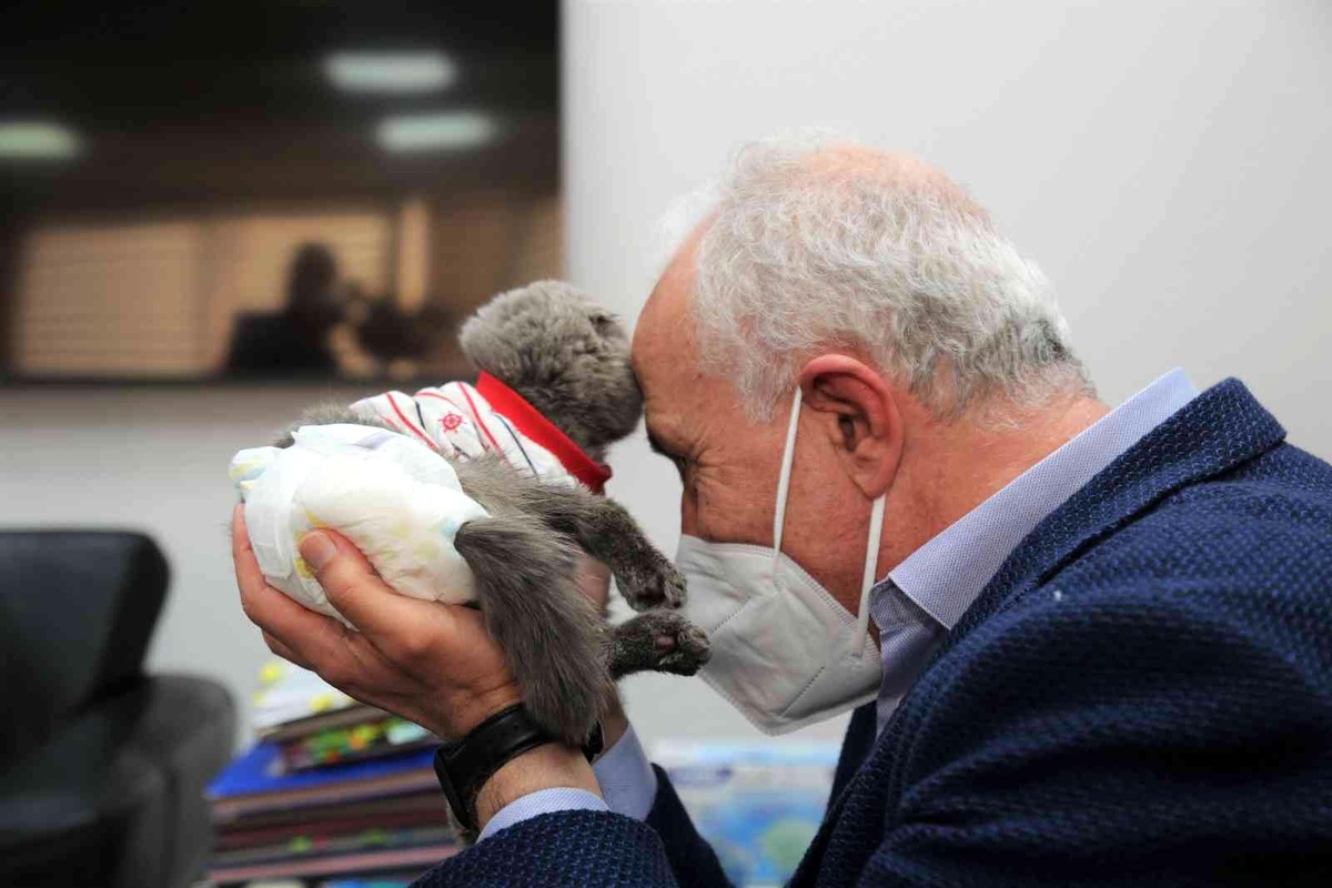 Akdeniz Belediye Başkanı Gültak, engelli kedi "Pilav"ı makamında misafir etti