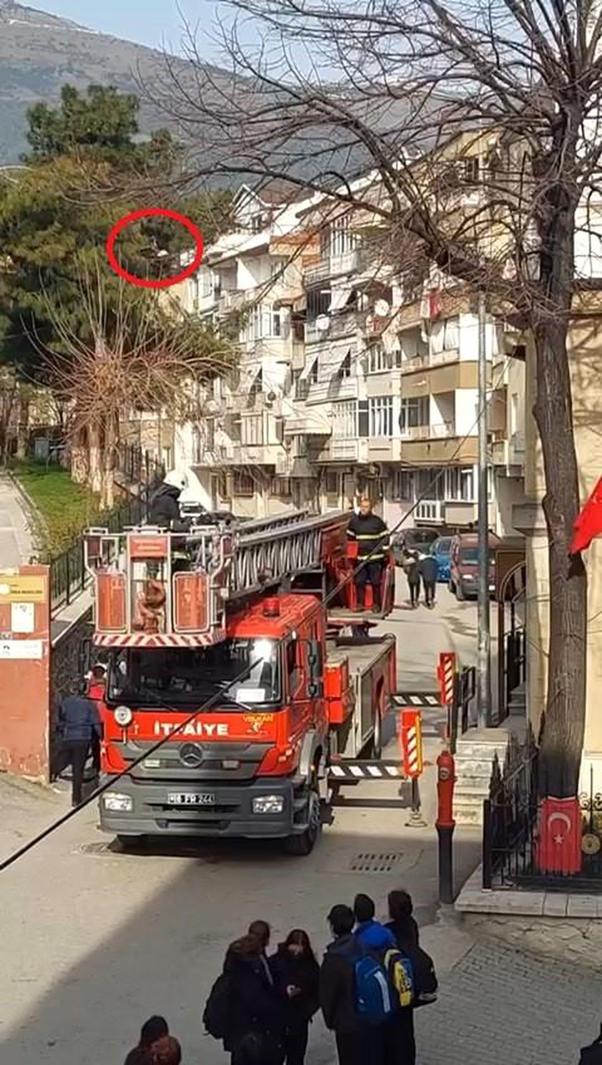 Son dakika haberleri... Bursa\'da ağaçta asılı kalan kuşu itfaiye ekipleri kurtardı