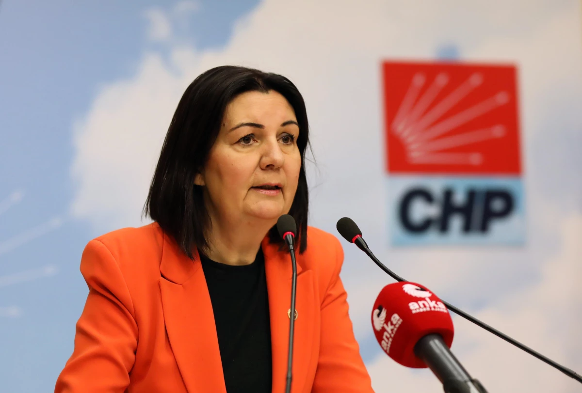 CHP Genel Başkan Yardımcısı Karabıyık\'tan "yükseköğretim" değerlendirmesi (1)