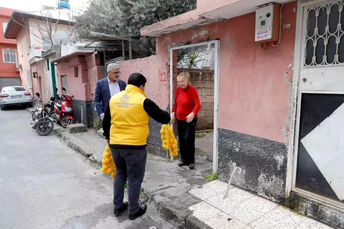 Dalında kalan limon vatandaşa dağıtılıyor