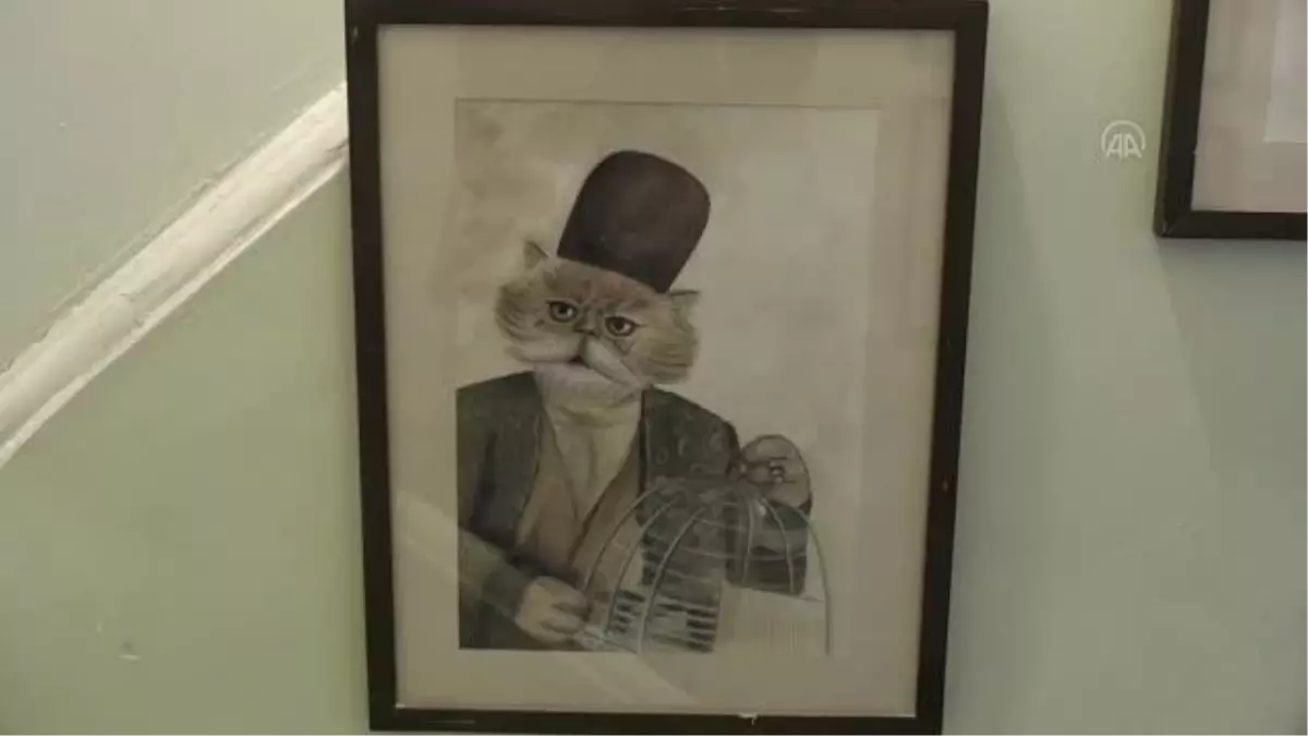 İran'da Kedi Kafe Müzesi
