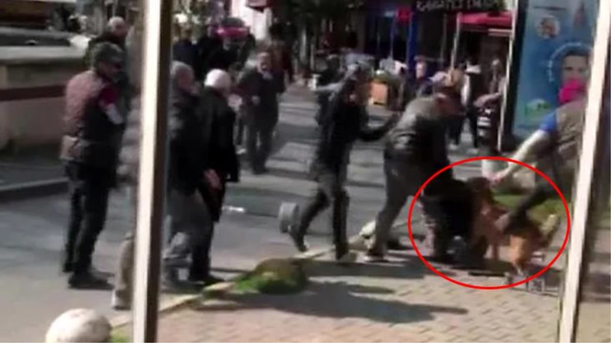İstanbul\'un göbeğinde dehşeti yaşadılar! Sahibinin elinden kurtulan pitbull 3 kişiye saldırdı