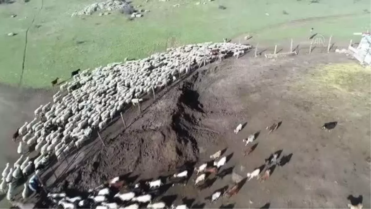 KIRKLARELİ - Gübre ve yem fiyatlarındaki indirim üreticileri sevindirdi