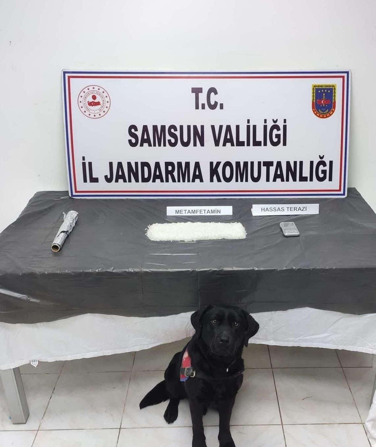Narkotik köpeği "Tumba" evin çatısında bir kilo metamfetamin buldu