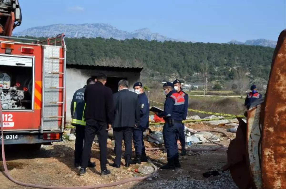 Sahibi yangında öldü, yavru köpekleri jandarma aldı