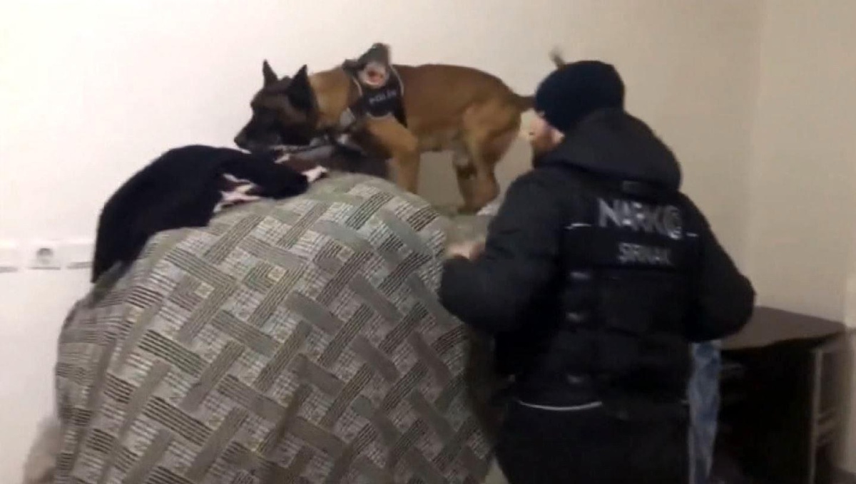 Şırnak\'ta hassas burunlu köpeklerle narkotik operasyonu: 9 gözaltı