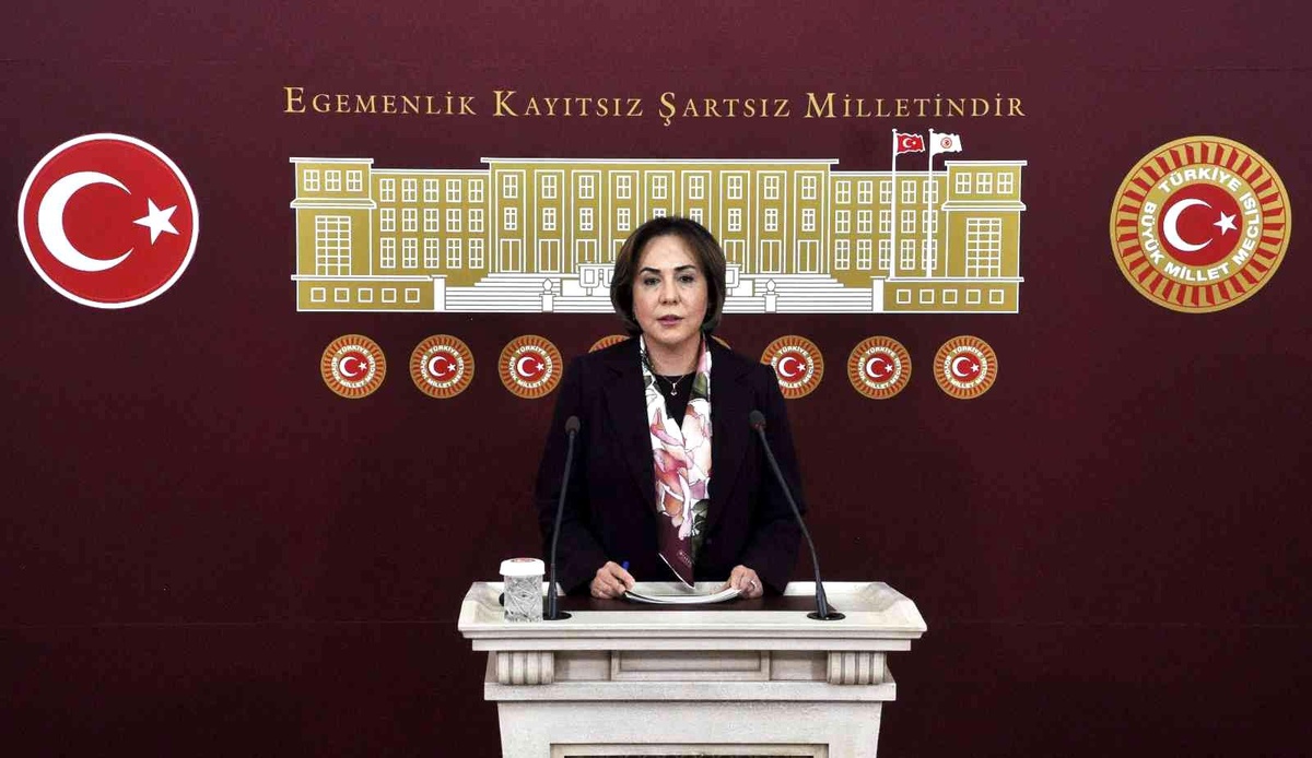 AK Parti\'li Yılmaz, Mersin\'de yerel gazeteye yapılan saldırıyı kınadı