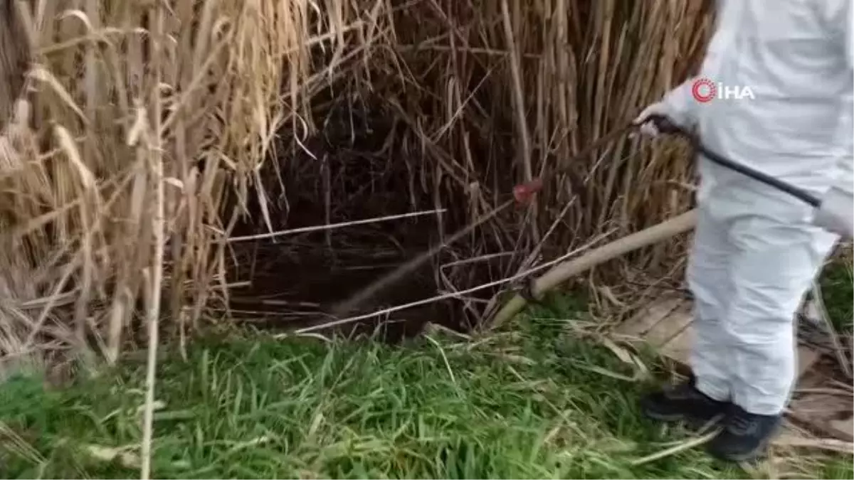 Altıeylül'de haşere ile mücadele kışın da sürüyor