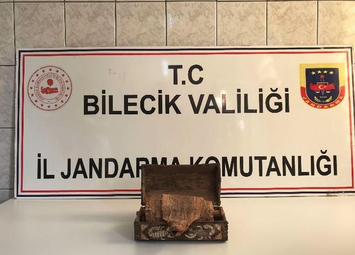 Bilecik\'te tarihi eser kaçakçılığı iddiasıyla 2 kişi yakalandı
