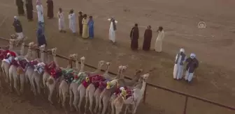 Sudan Deve Yarışları başladı