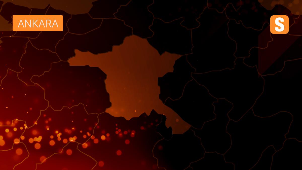 Turgut Zaim\'in yağlıboya tablosu ilgi çekiyor