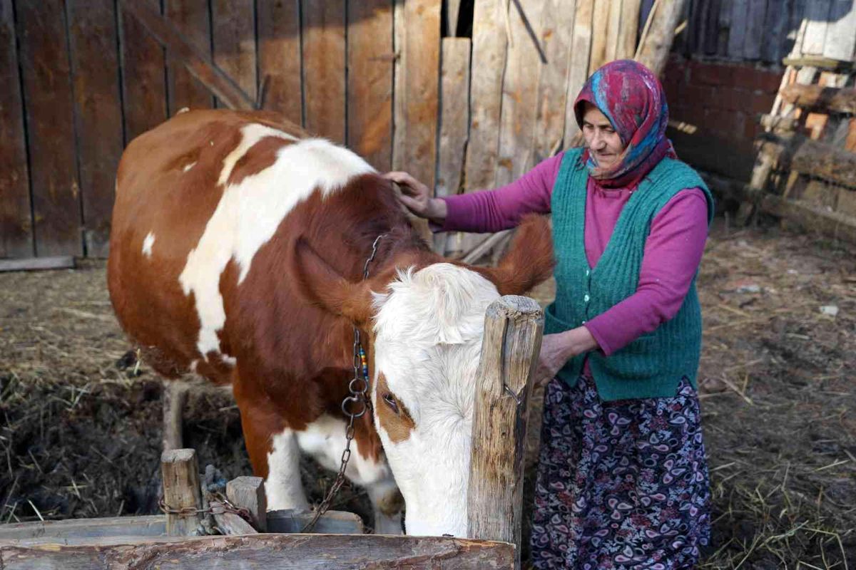 Yangınzede kadın: "Yangında başıma tülbent bile alamadım"