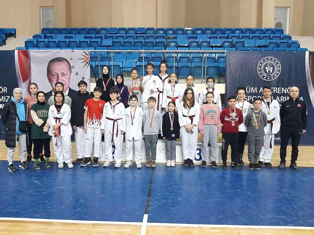 1308 Osmaneli Belediyespor taekwondo da madalyaları topladı