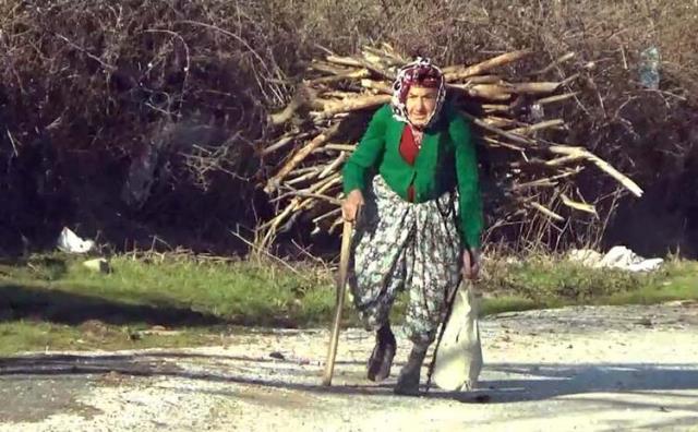 Derdi; yürek sızısı! 85 yaşındaki Hörü acısını dindirmek için odun topluyor