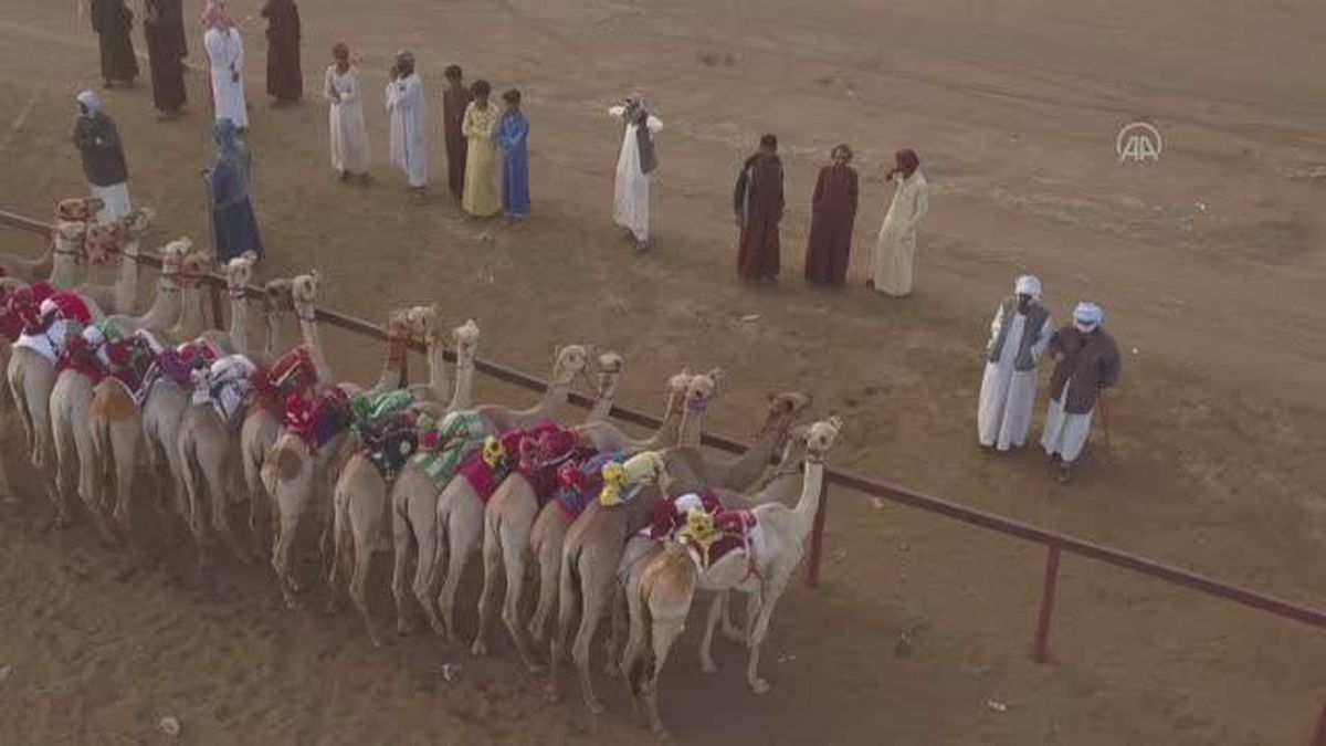 Sudan'da deve yarışları düzenlendi