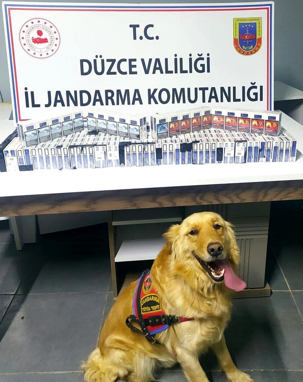 286 paket kaçak sigara bulundu