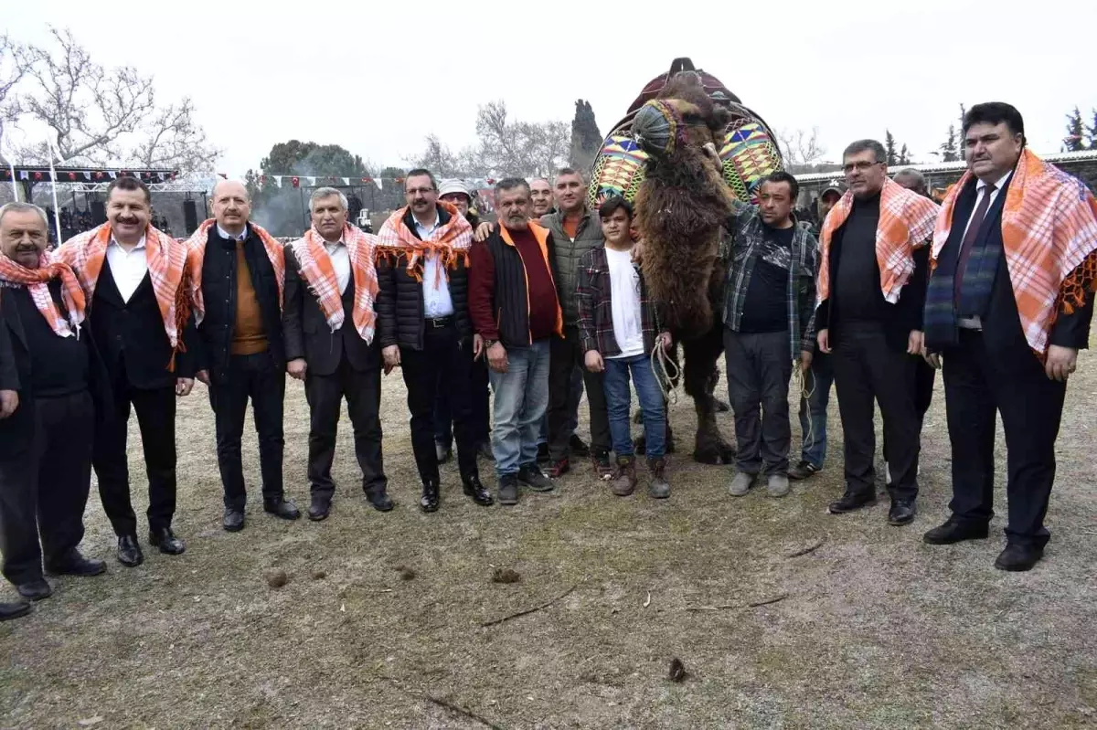 Son dakika... Havran\'da 6. Geleneksel Folklorik Deve Gösterisi yapıldı