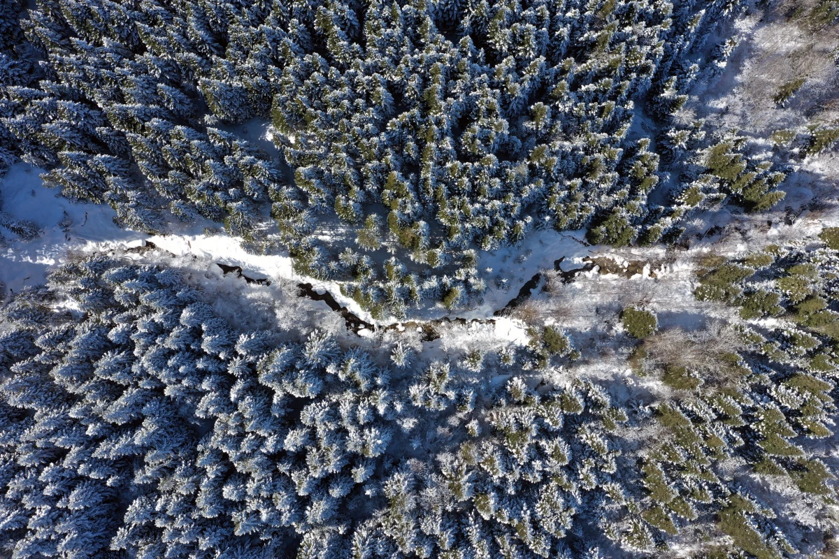 Kastamonu\'nun karla kaplı ormanları havadan görüntülendi