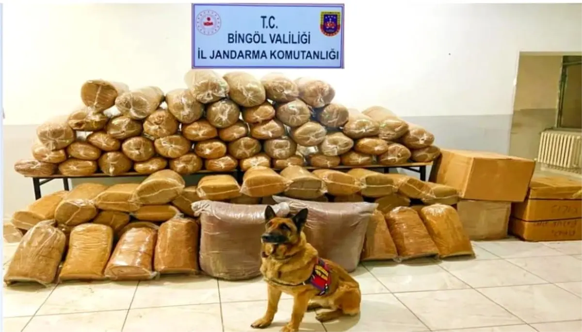 Bingöl\'de 650 kilo kıyılmış tütün ele geçirildi