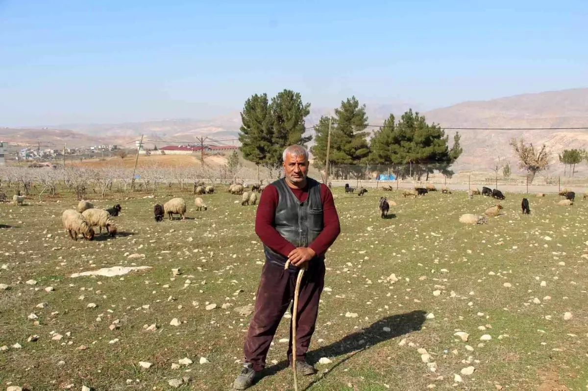 Kentten köye göç edip devlet desteğiyle çiftçilik yapıyorlar