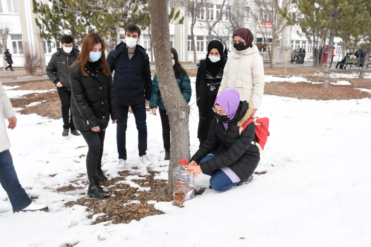 Atık malzemelerden kap yapıp sokak hayvanları için yem bıraktılar