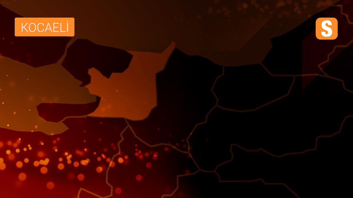 Türkiye Profesyonel Kick Boks Şampiyonası Kocaeli\'de sona erdi